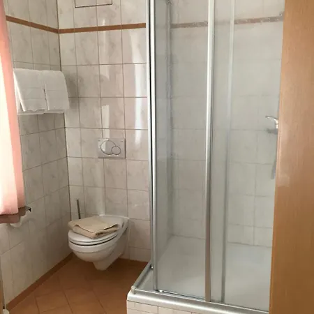 Guntia Boardinghouse Hotel Guntzbourg